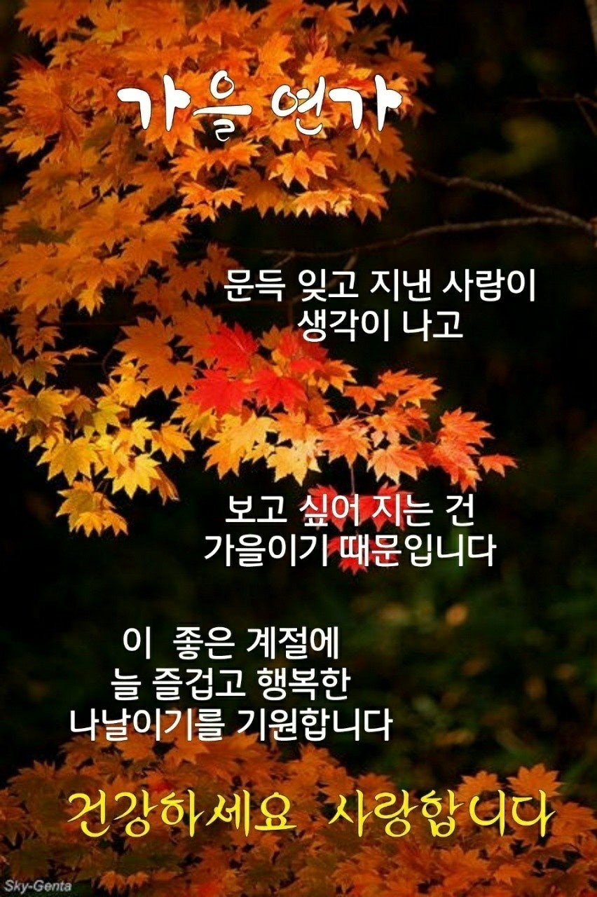 더여행가자 이미지