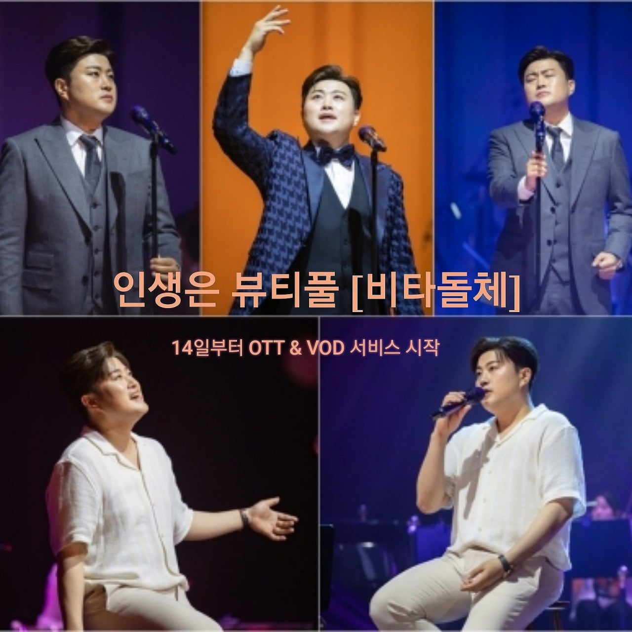 비타투어 이미지