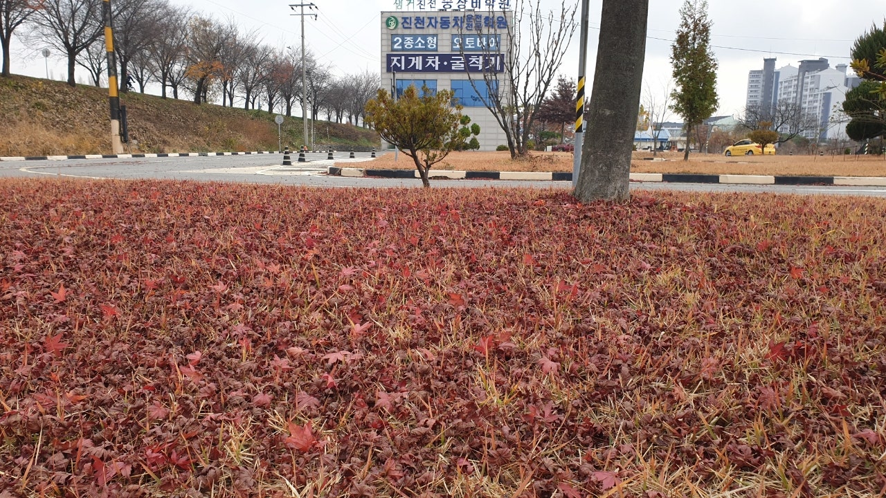 진천자동차운전전문학원 이미지
