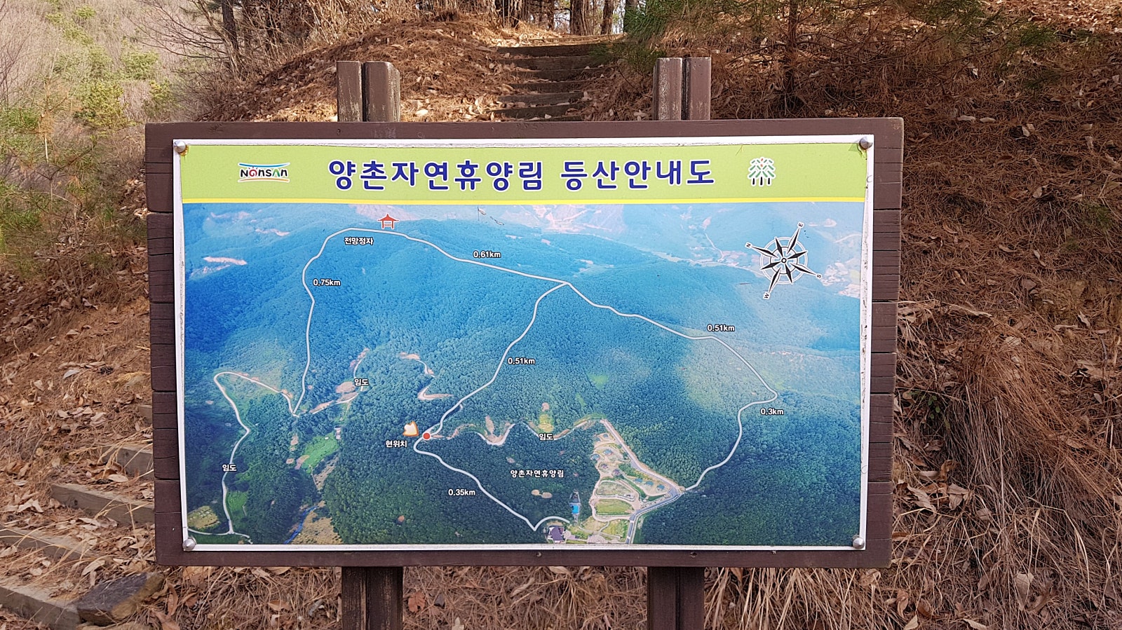 양촌 유아숲체험원 이미지