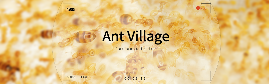 < ̸  > ant - village  Ű   Ʈ