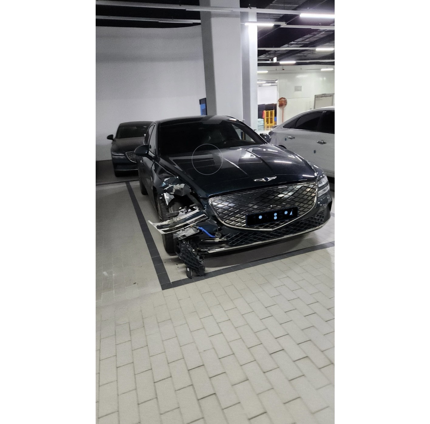 차놀자렌트카울산 이미지