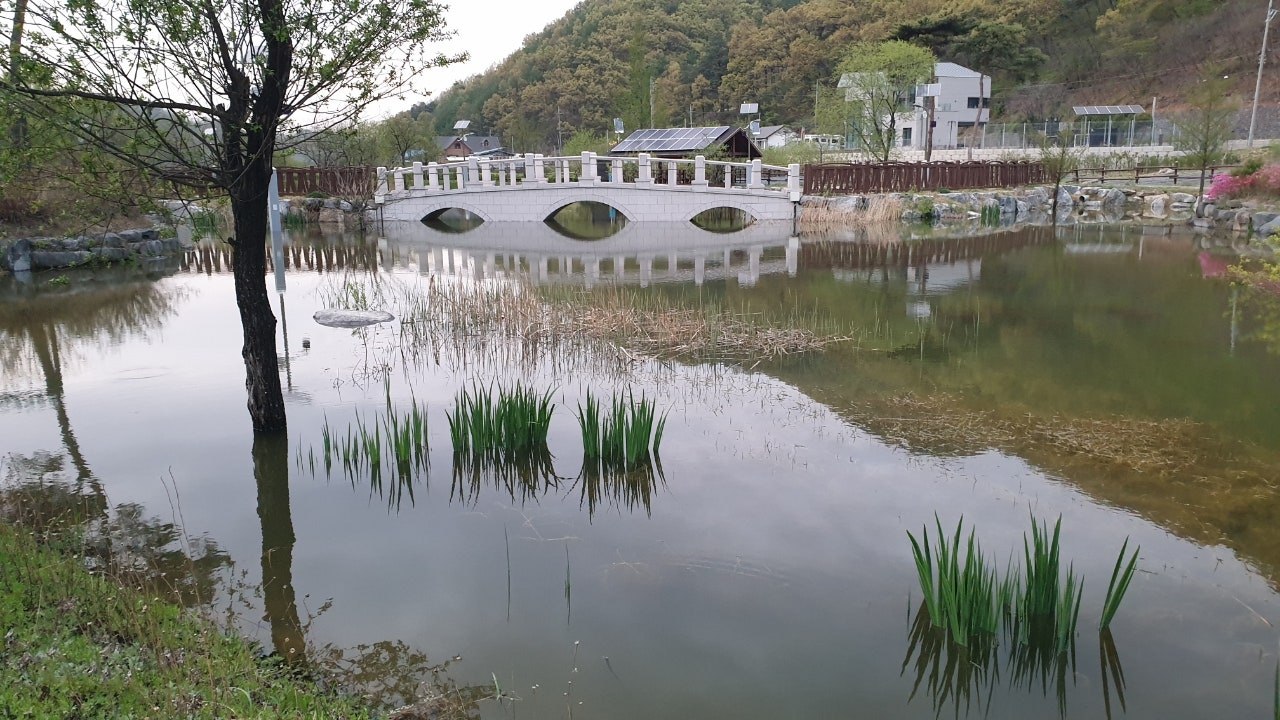생거진천중장비학원 이미지
