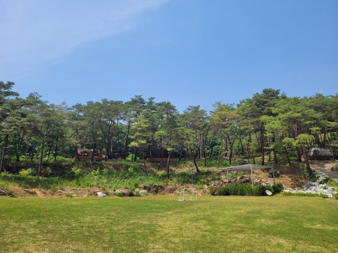 한반도솔숲쉼터 이미지