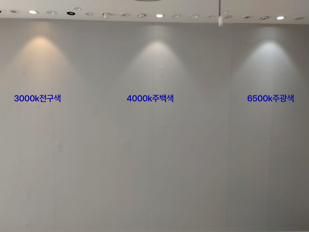 광신전기 이미지