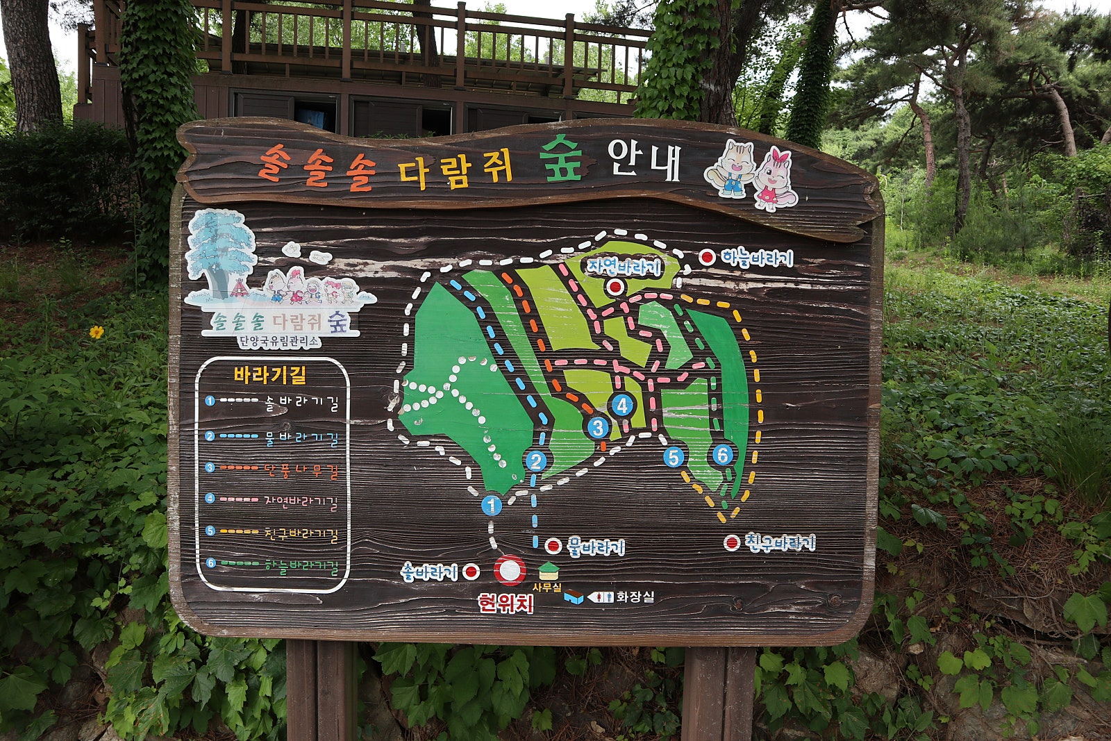 솔솔솔 다람쥐숲 유아숲체험원 이미지