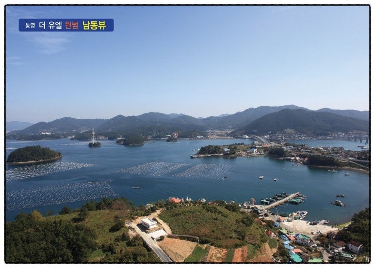더윈썸 이미지