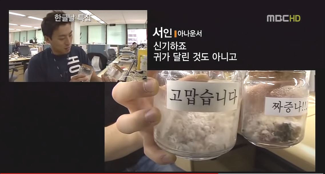 오늘반찬 이미지
