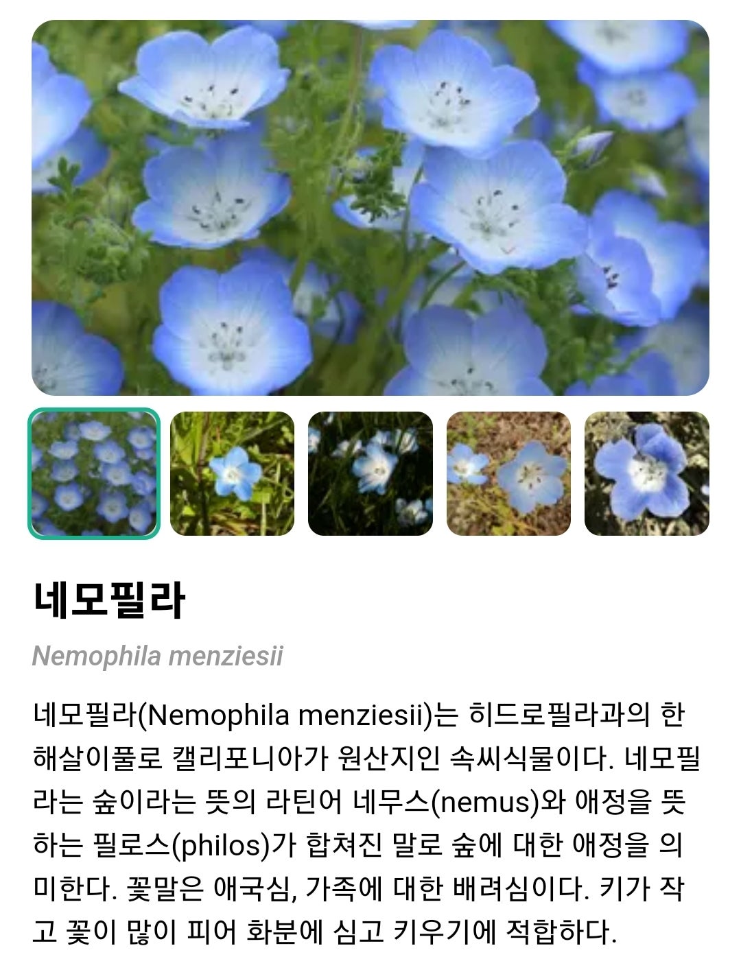 (주)라벤더투어 이미지