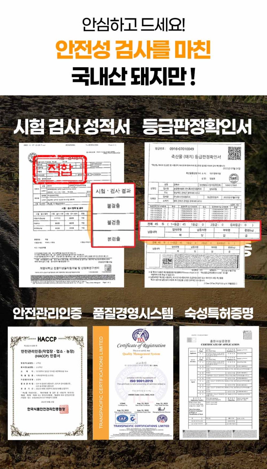 돈차돌 이미지