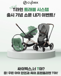 라인시스템 이미지