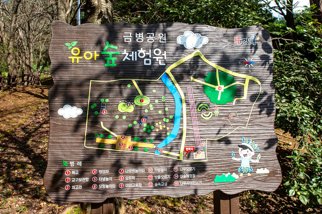 금병공원 유아숲체험원 이미지