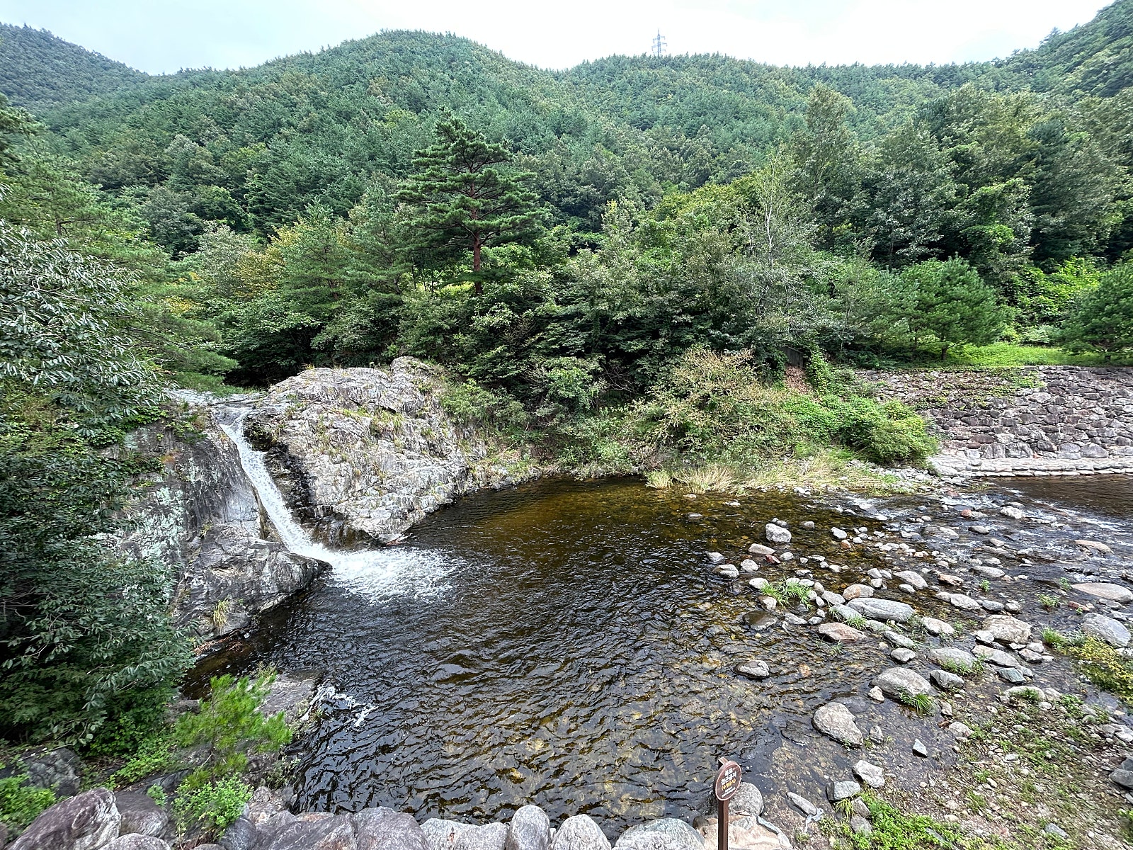 삼척 활기 치유의 숲 이미지