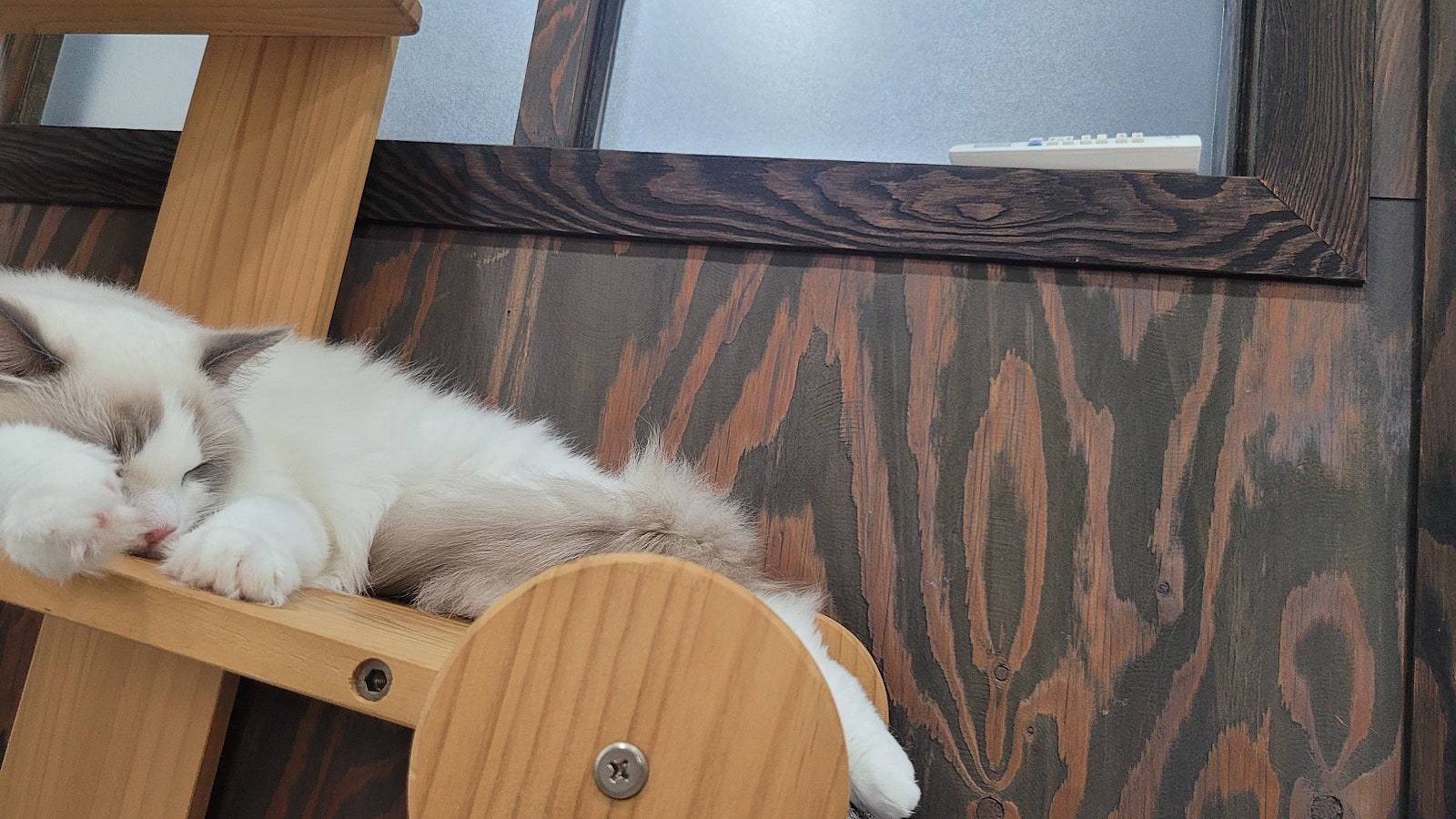 호텔메이 이미지