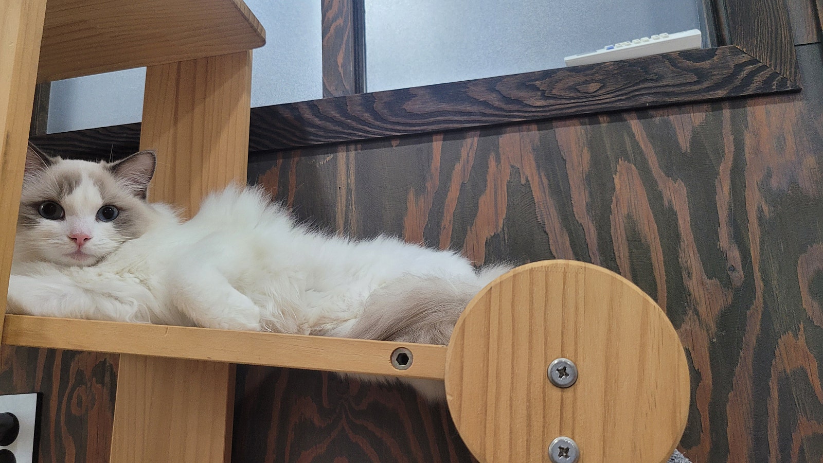 호텔메이 이미지