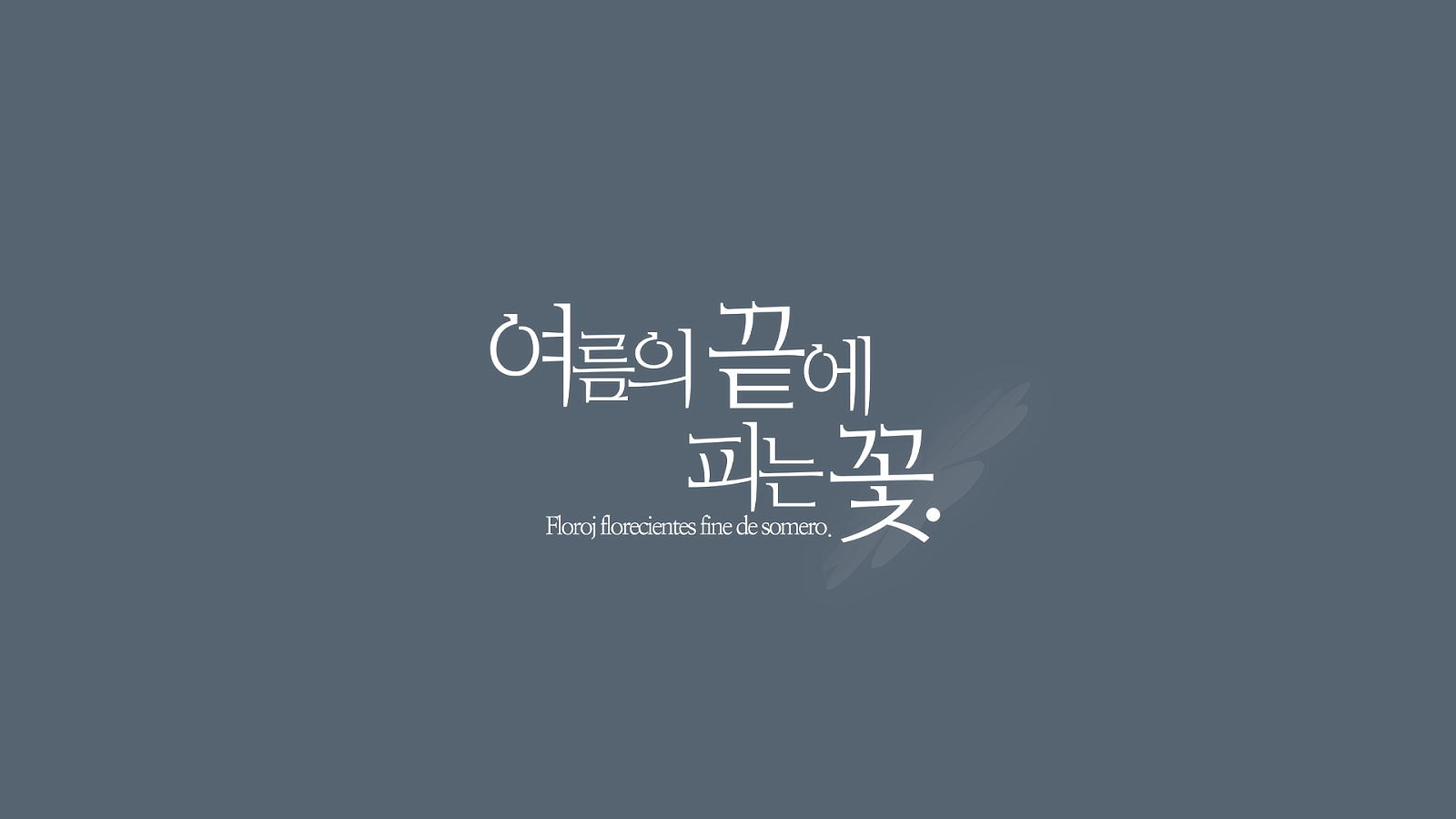 logo5
