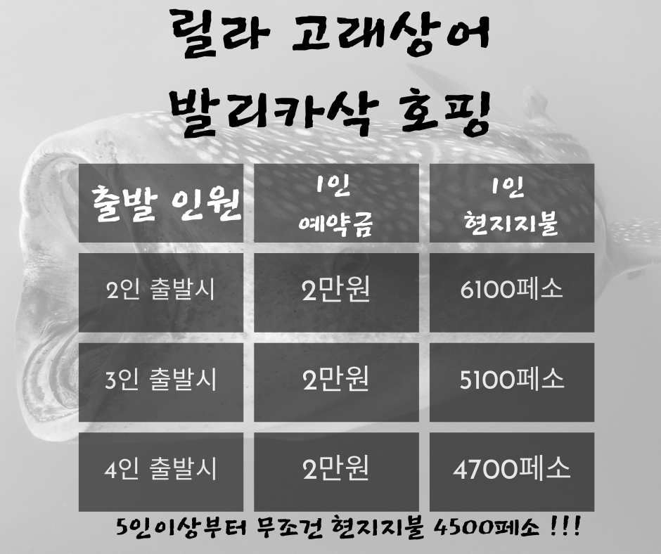 원클릭여행 이미지