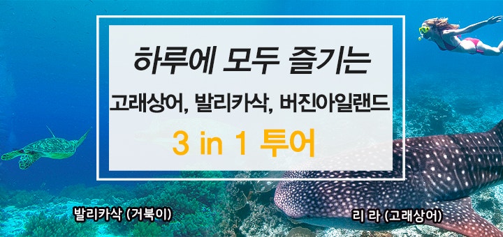 보홀로드 이미지