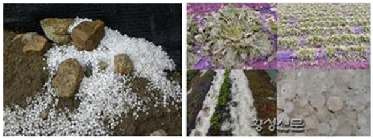대진운수(주) 이미지