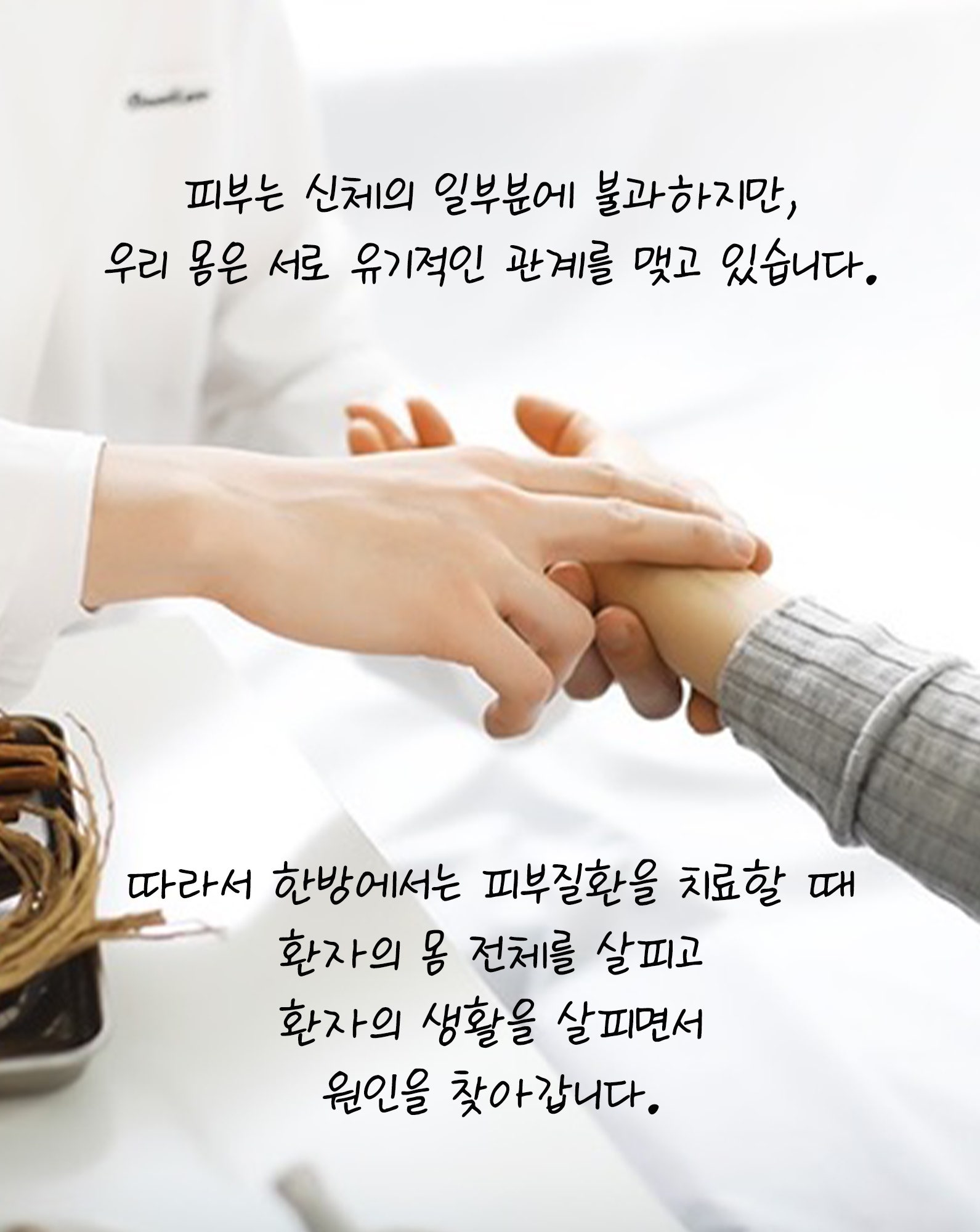 고운누리 이미지