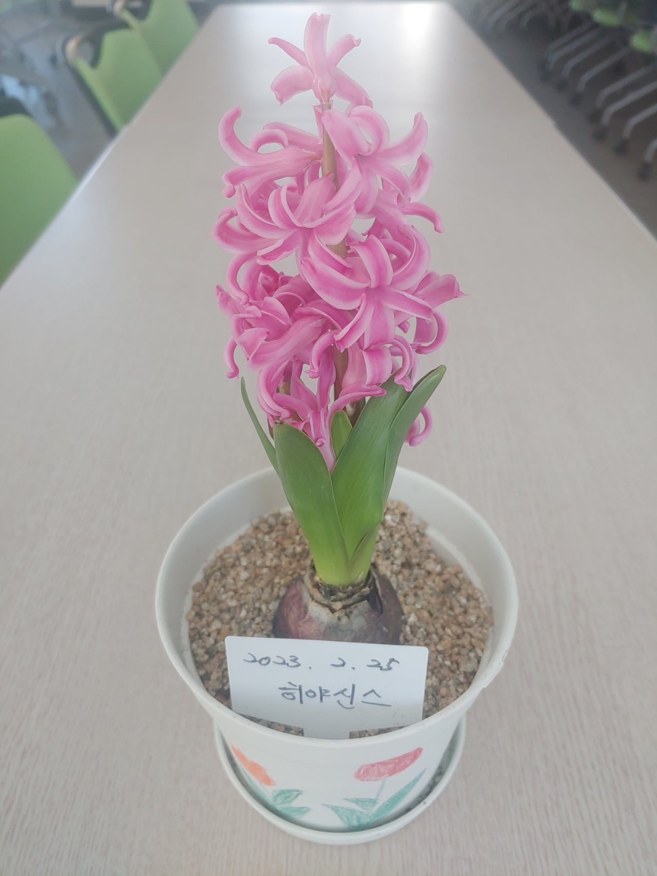 미로생칼국수 이미지