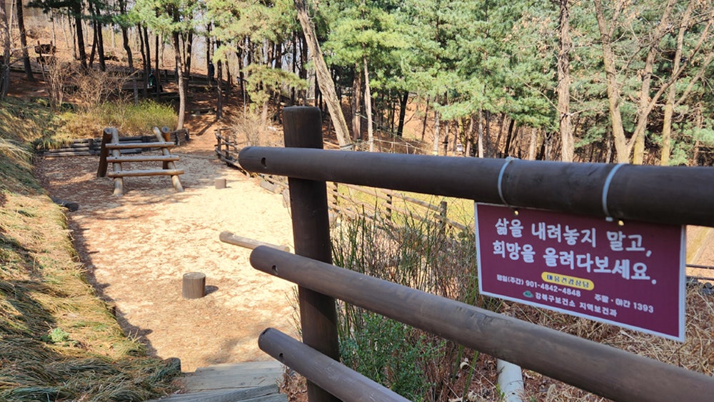오패산 유아숲체험원 이미지