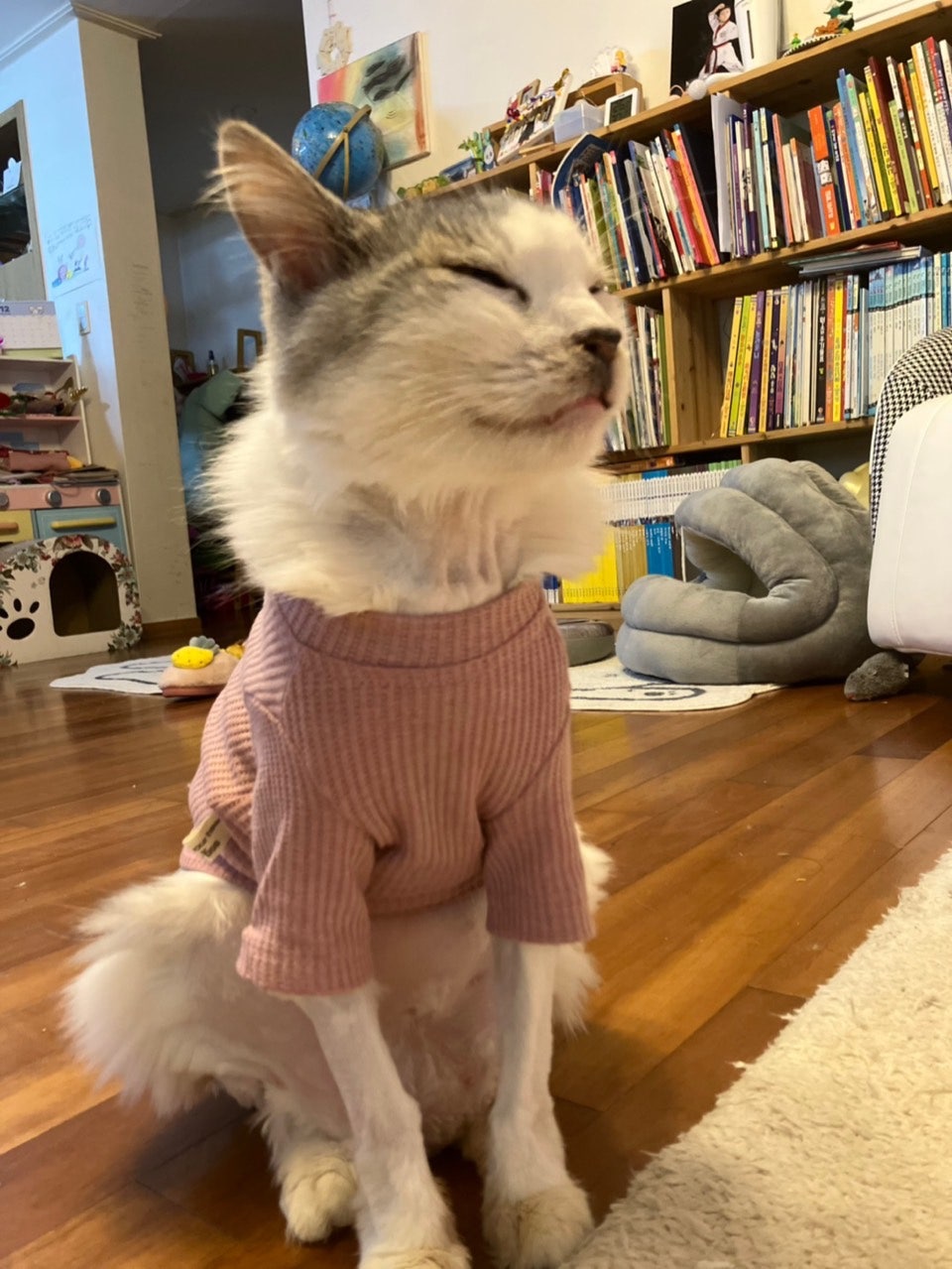 묘우.묘우 이미지
