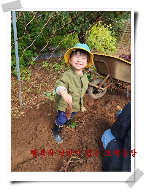 형제농장 이미지
