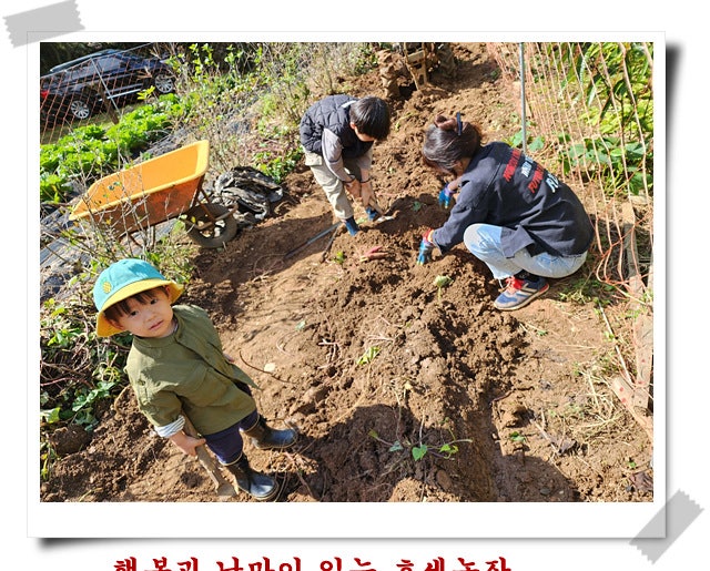 형제농장 이미지