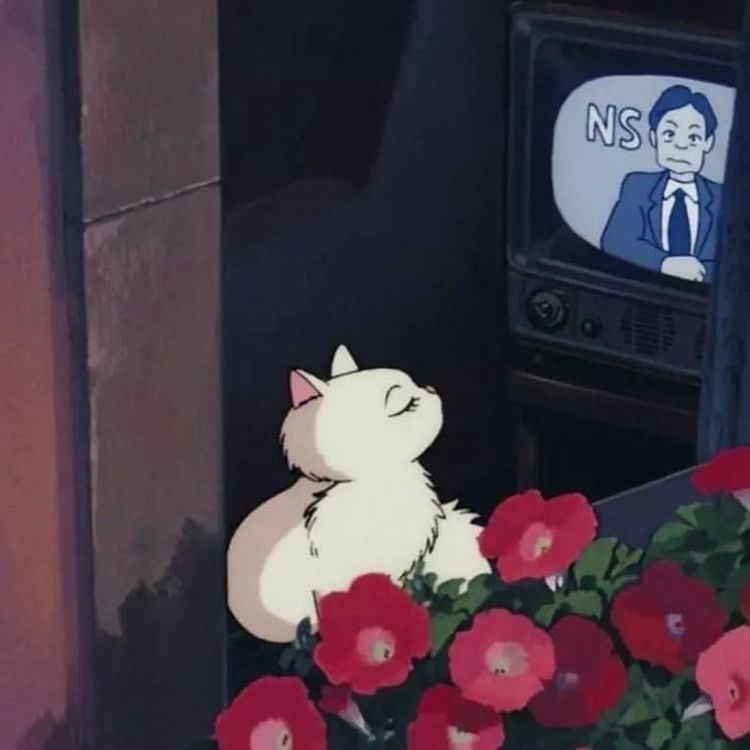 솔레일 이미지
