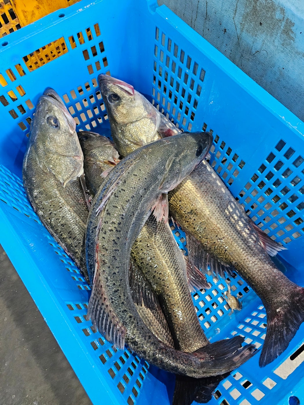KakaoTalk_20231011_124143601_05.jpg