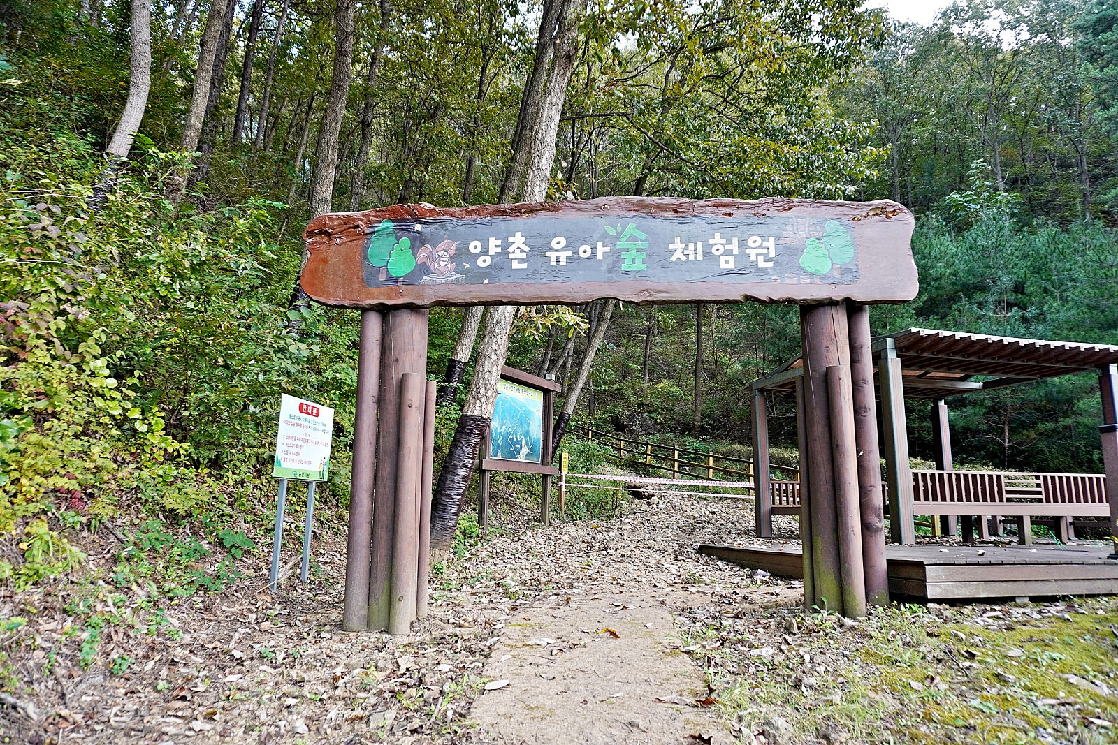 양촌 유아숲체험원 이미지