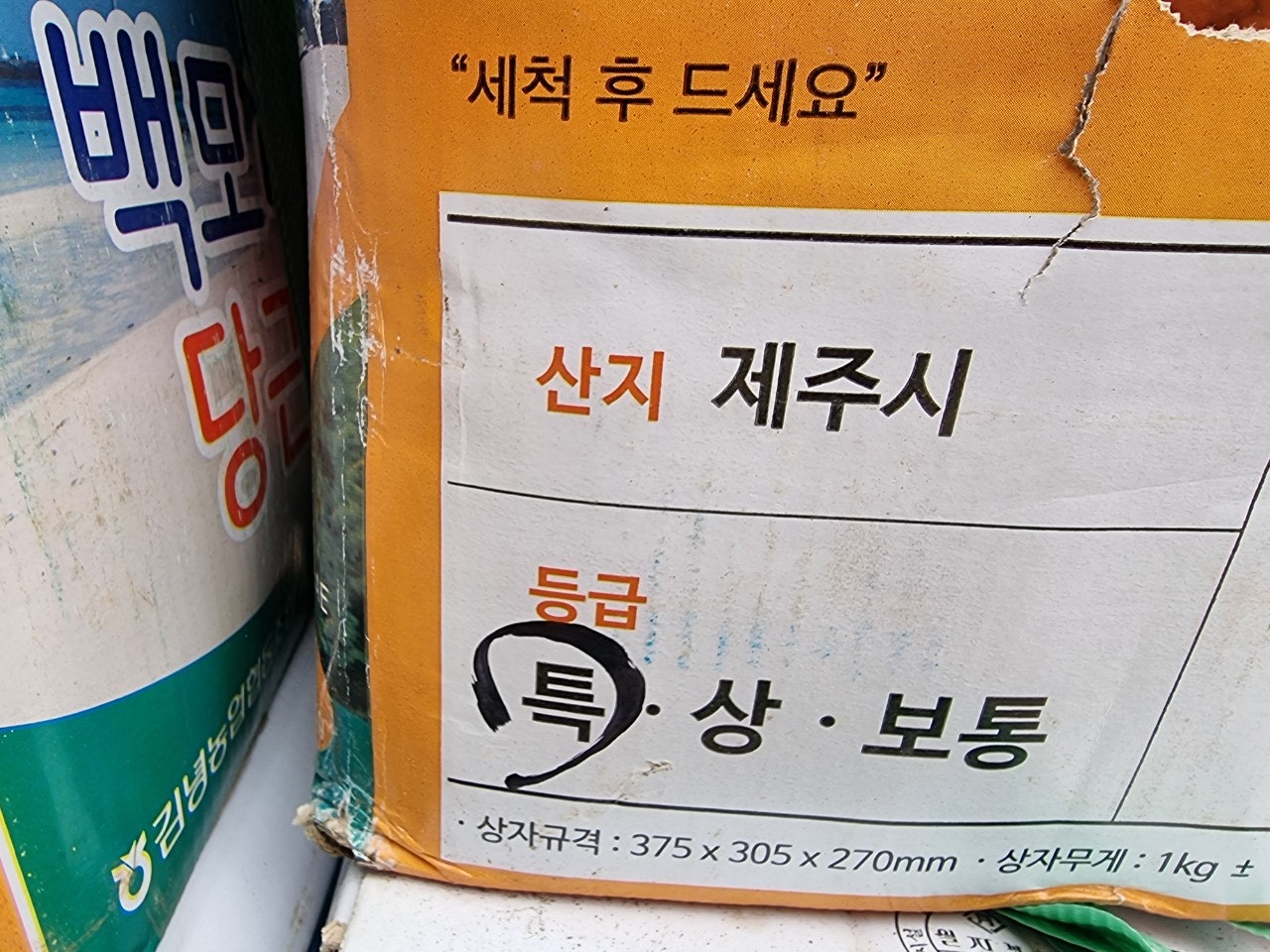 우주딸기 이미지