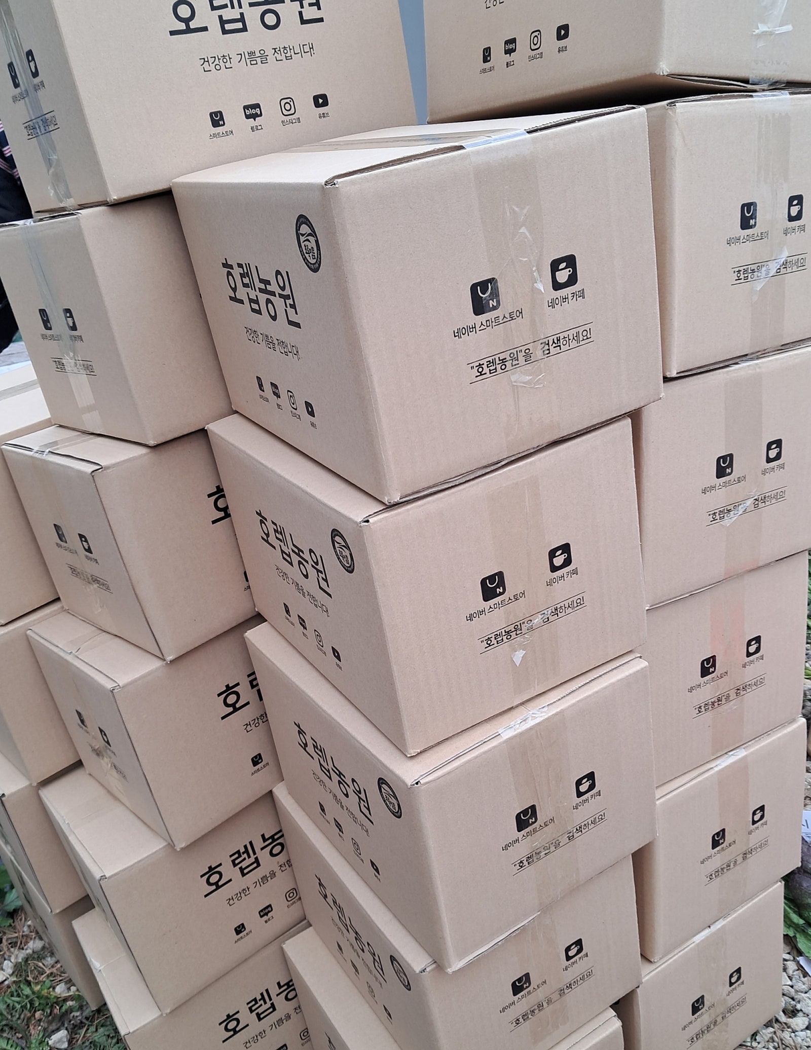 호렙농원 이미지