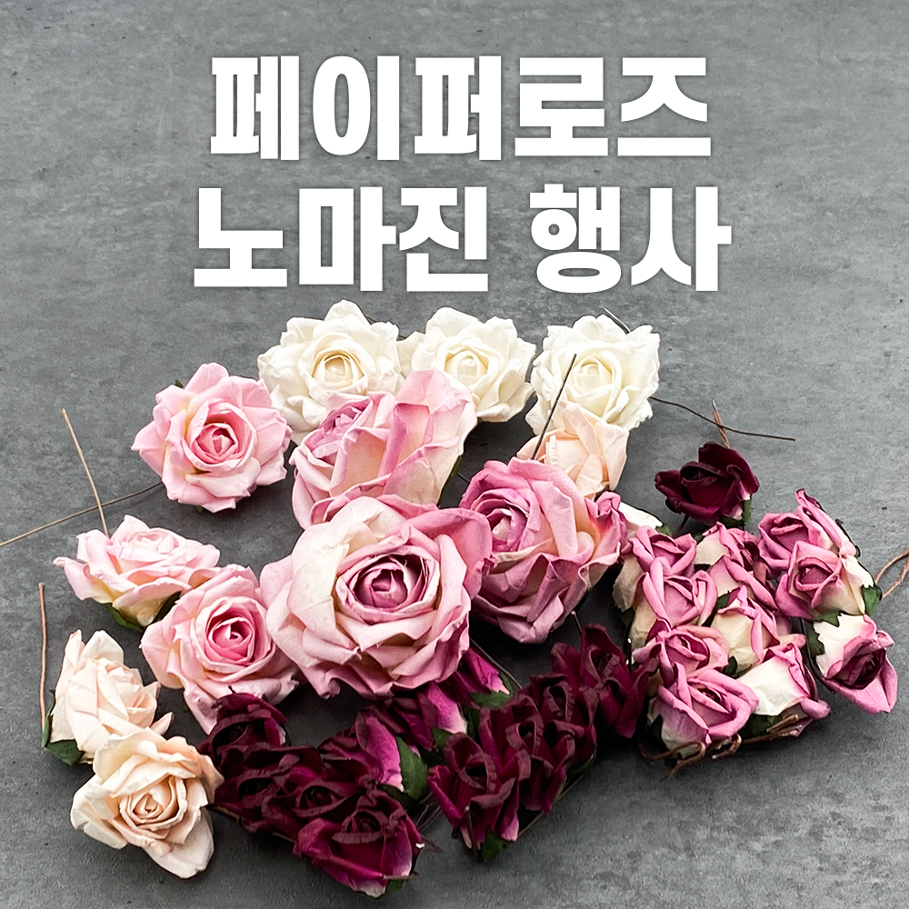 페이퍼로즈 이미지