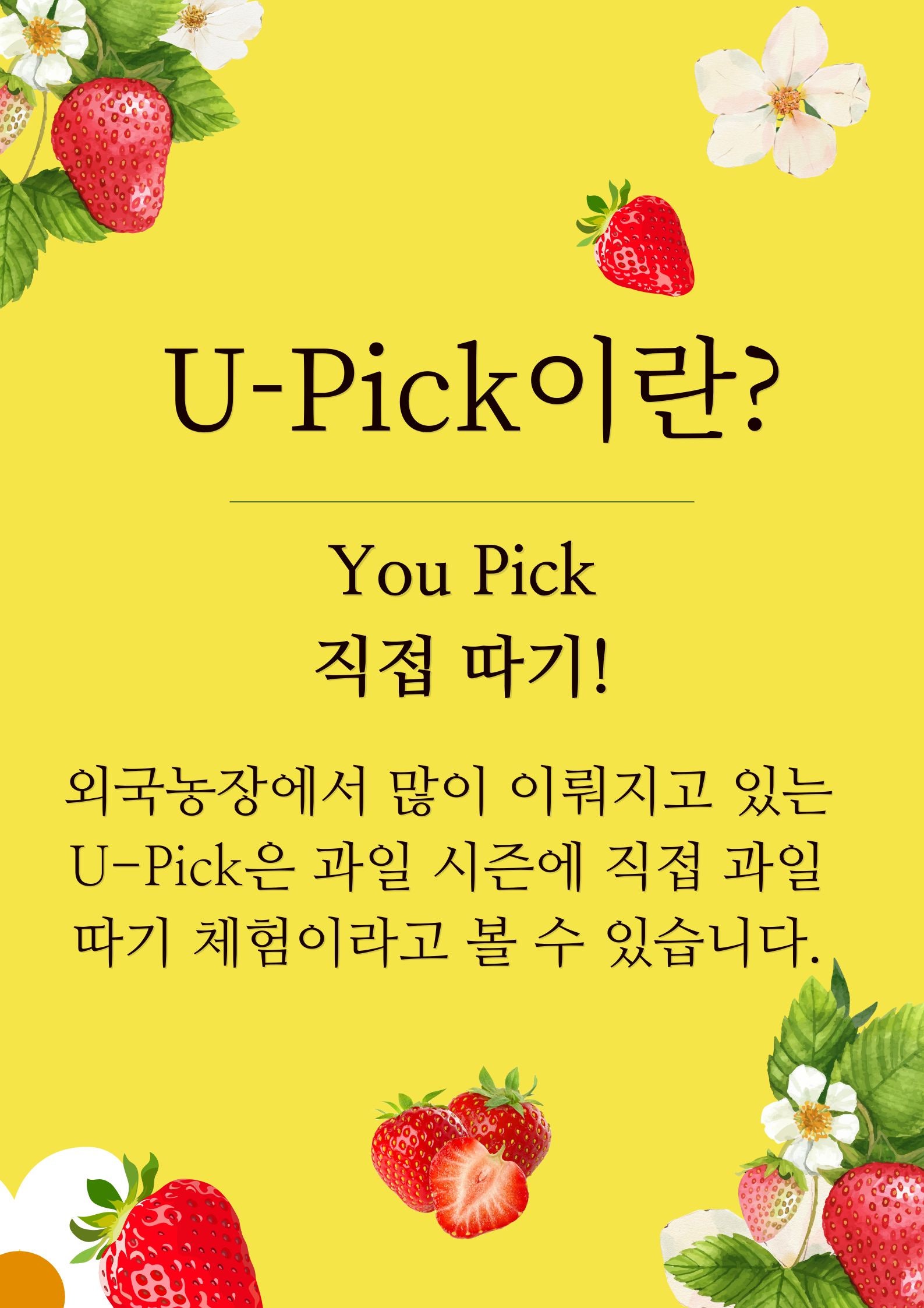 호렙농원 이미지