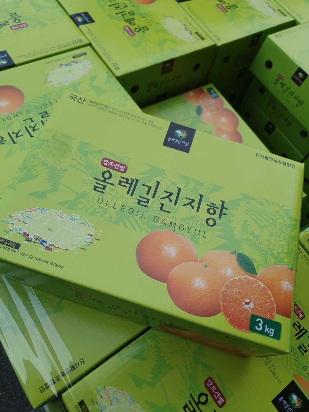 블랙야채 이미지