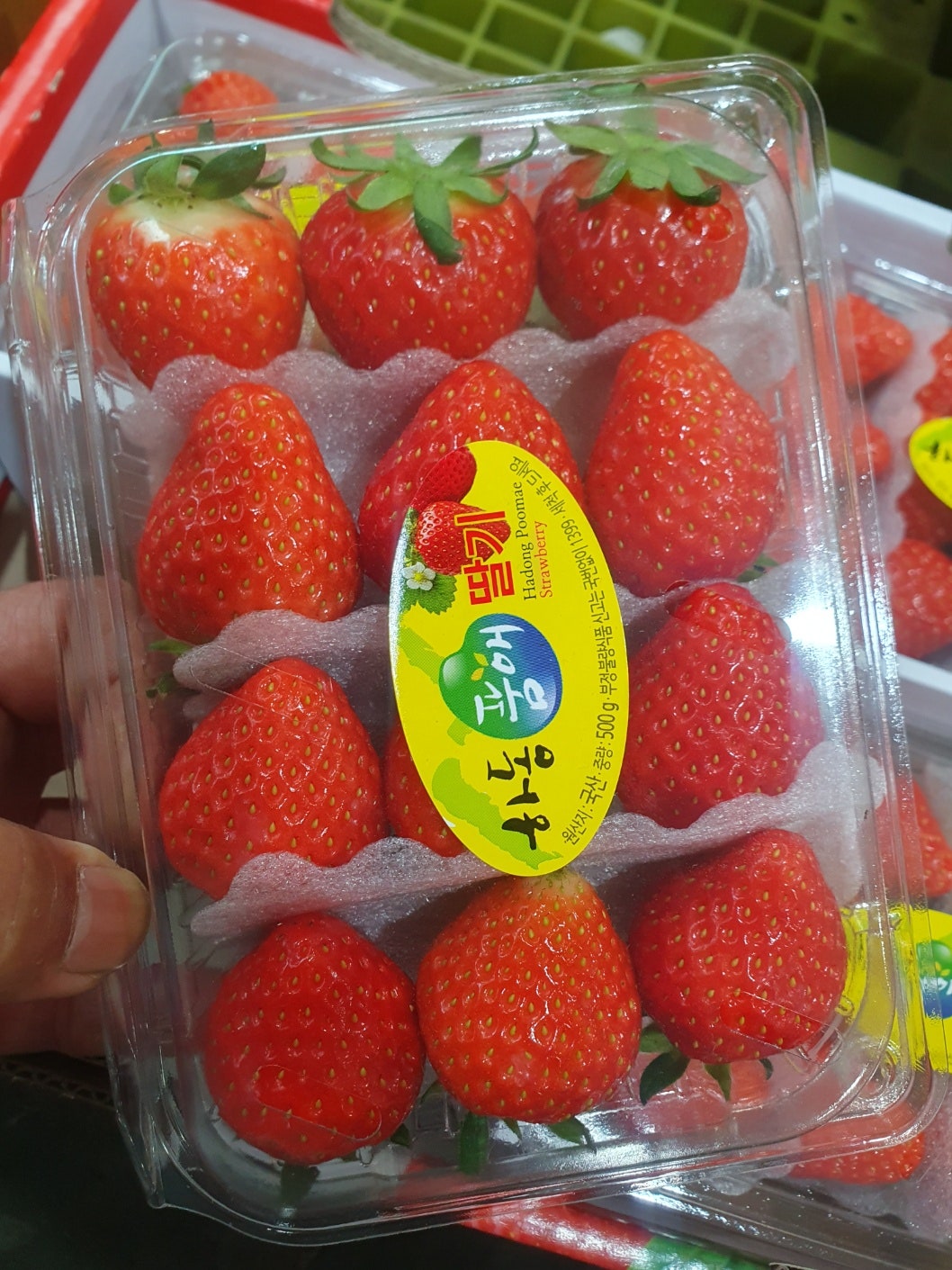 블랙야채 이미지