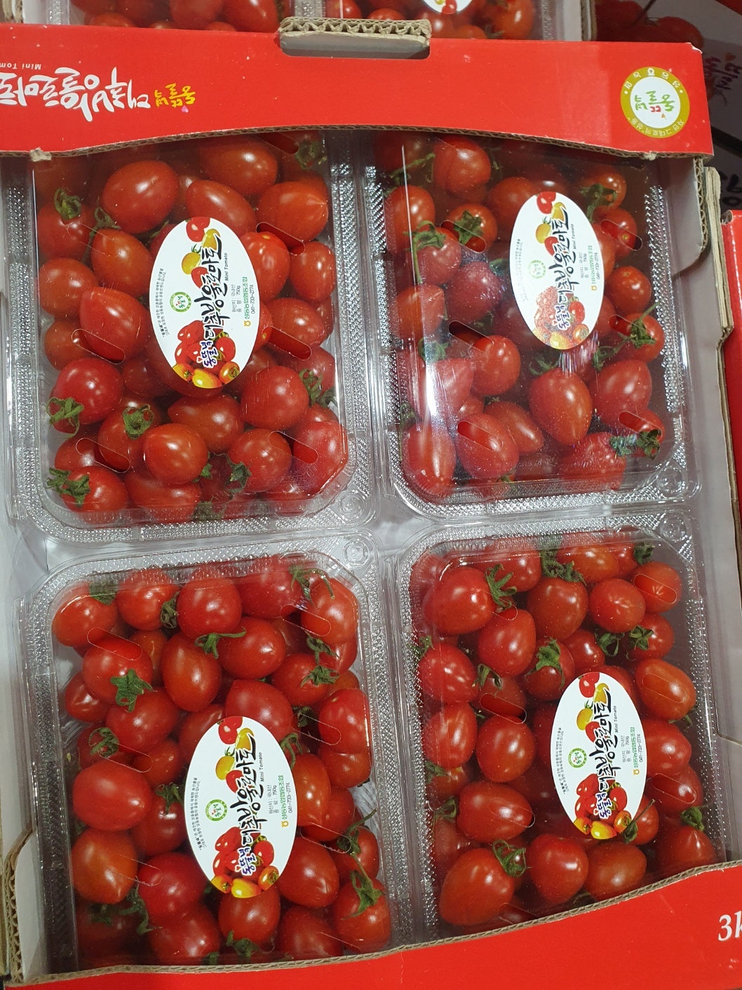 블랙야채 이미지