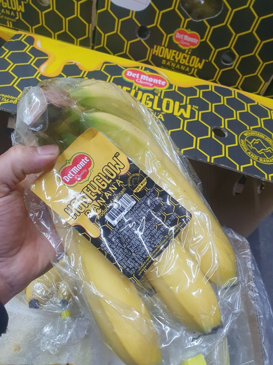 블랙야채 이미지