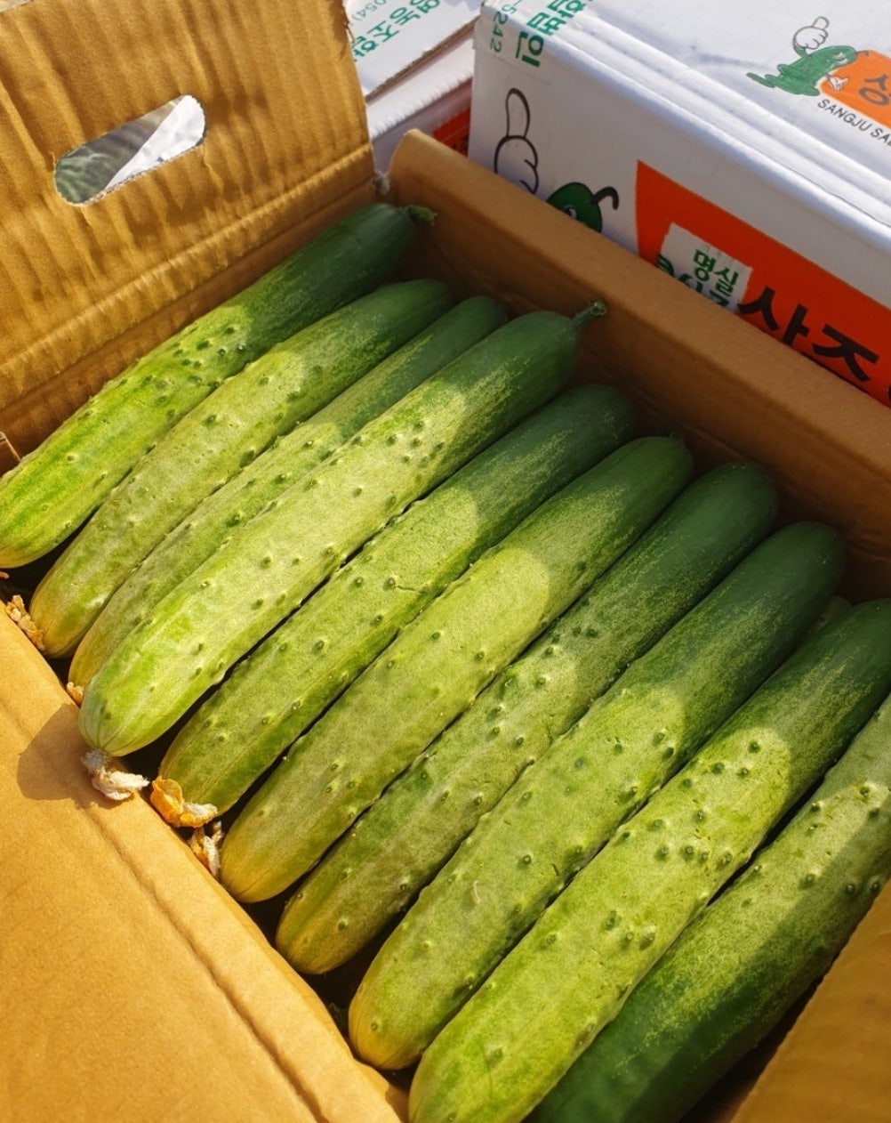 귤이네과일;야채 이미지