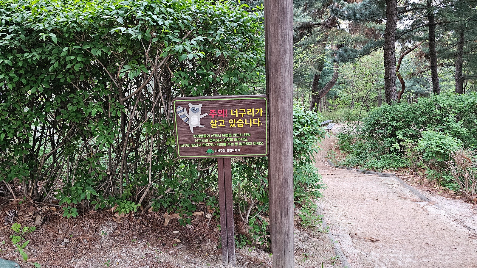 오패산 유아숲체험원 이미지
