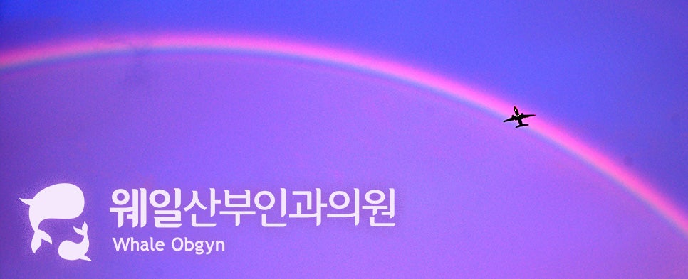 제이웨일 이미지