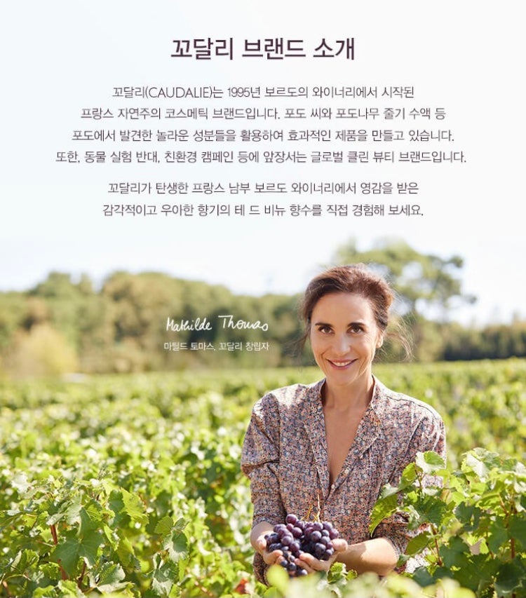 비뉴 이미지