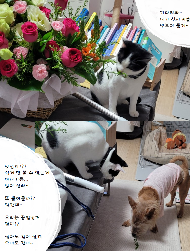 모란상사 이미지