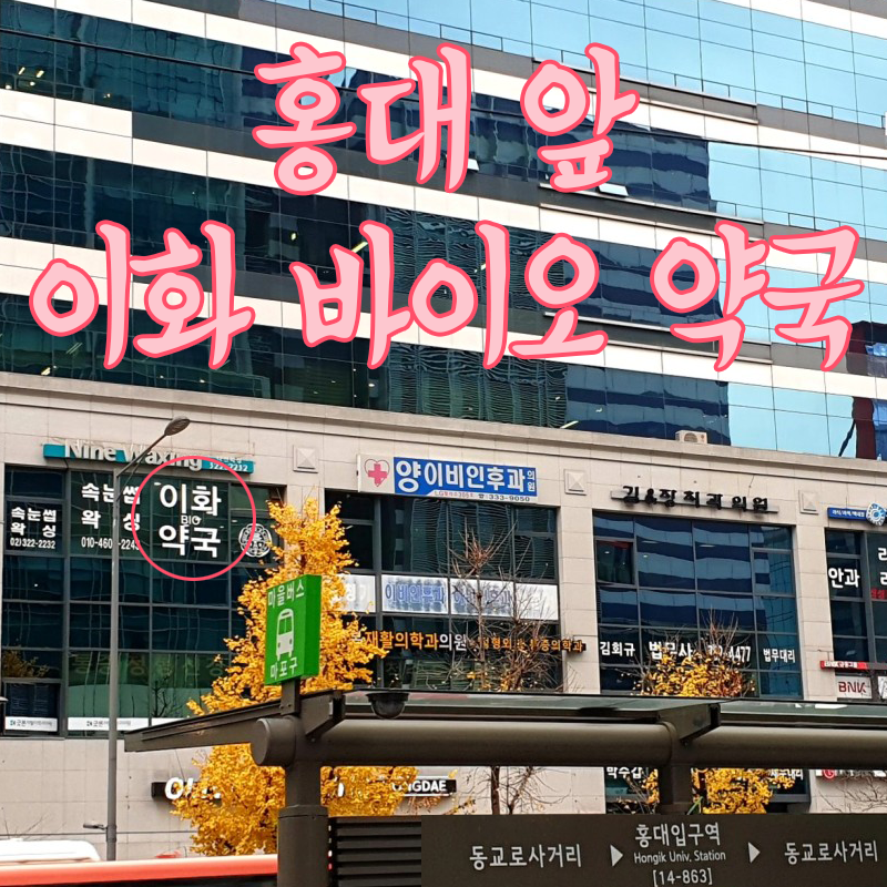 예건 이미지