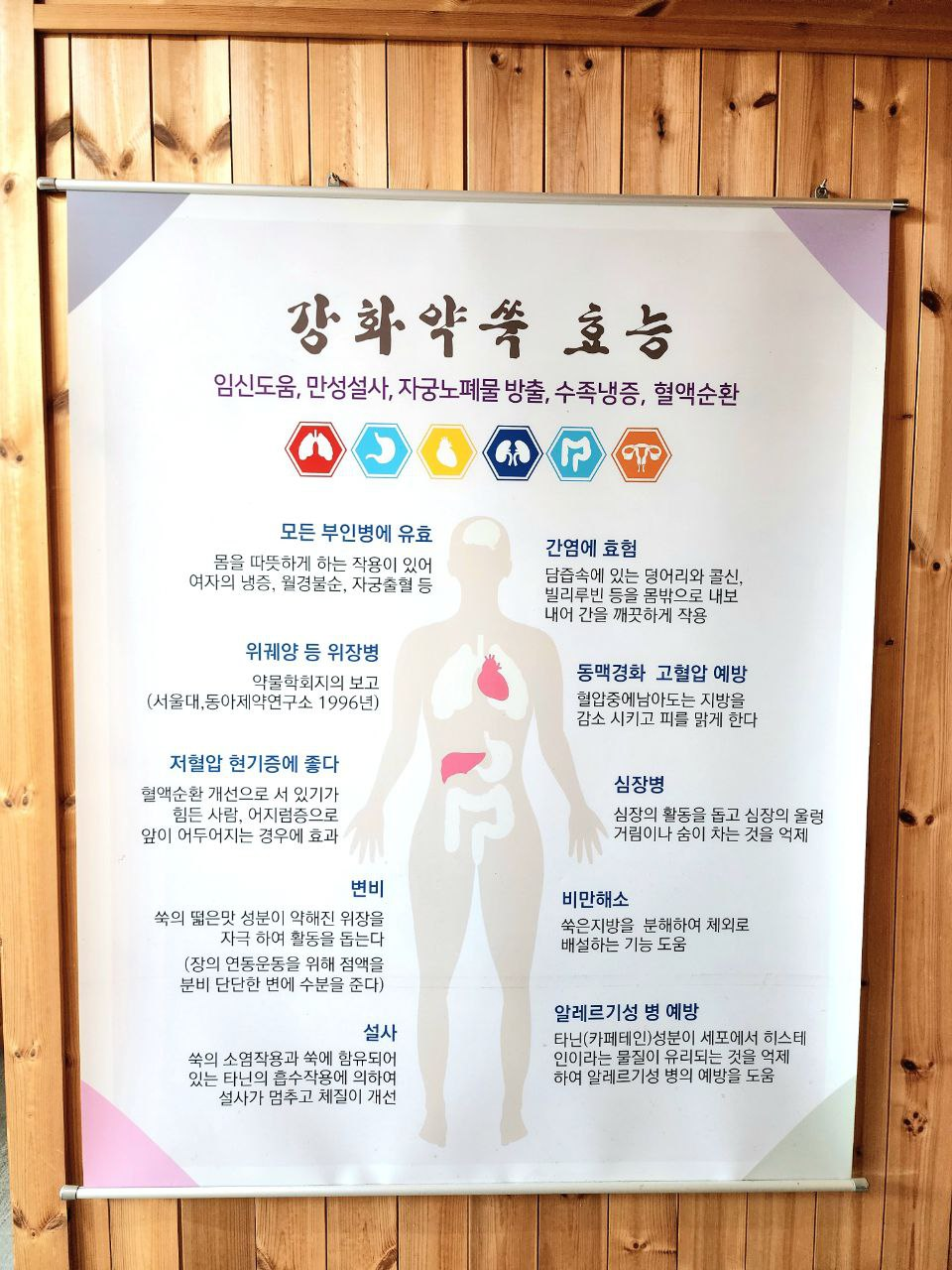 참나무로 달인 강화사자발약쑥을 체험해 봐요 : 네이버 블로그