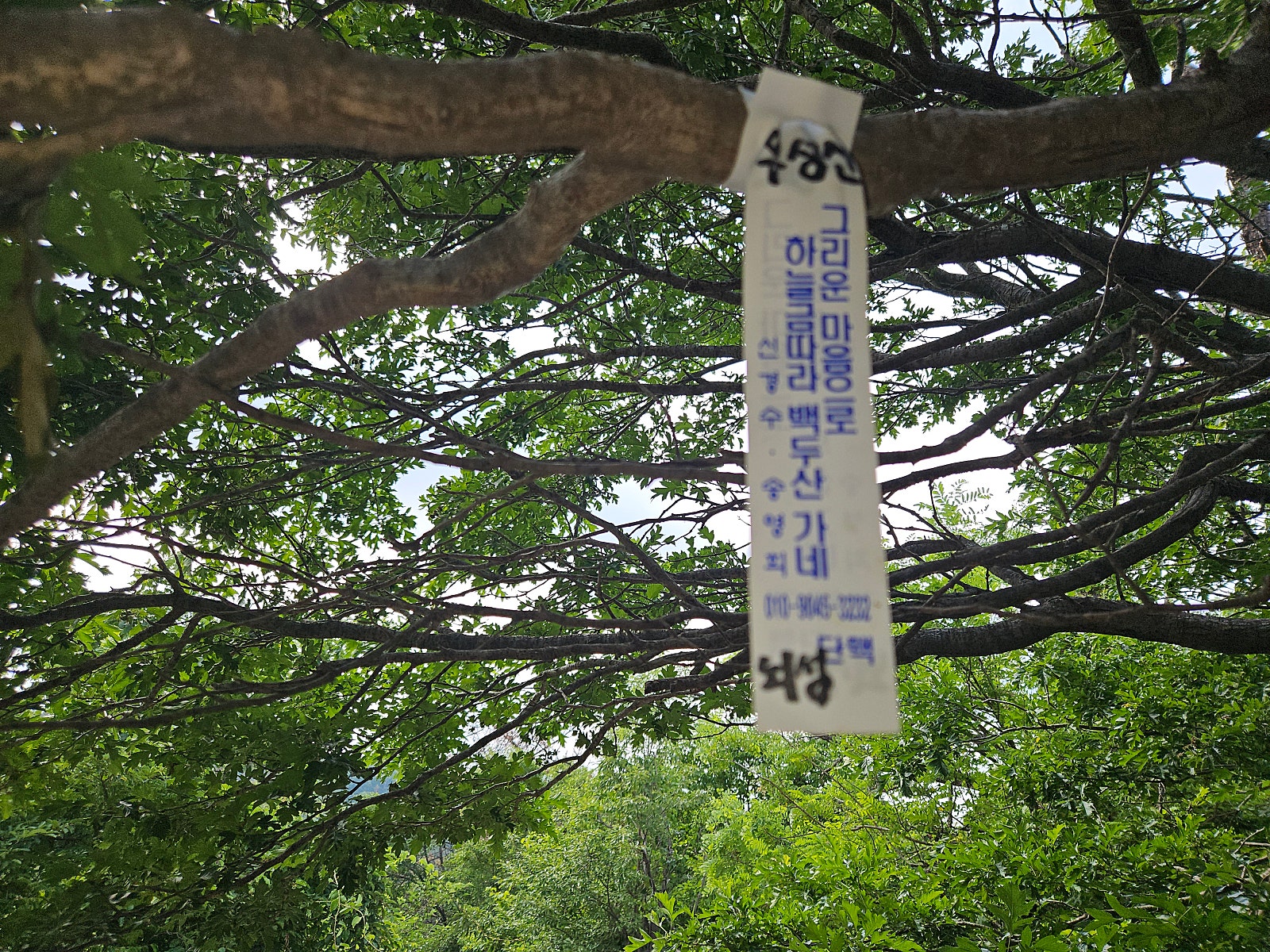 구포주유소 이미지