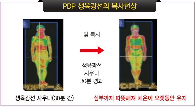 바이오포톤 이미지