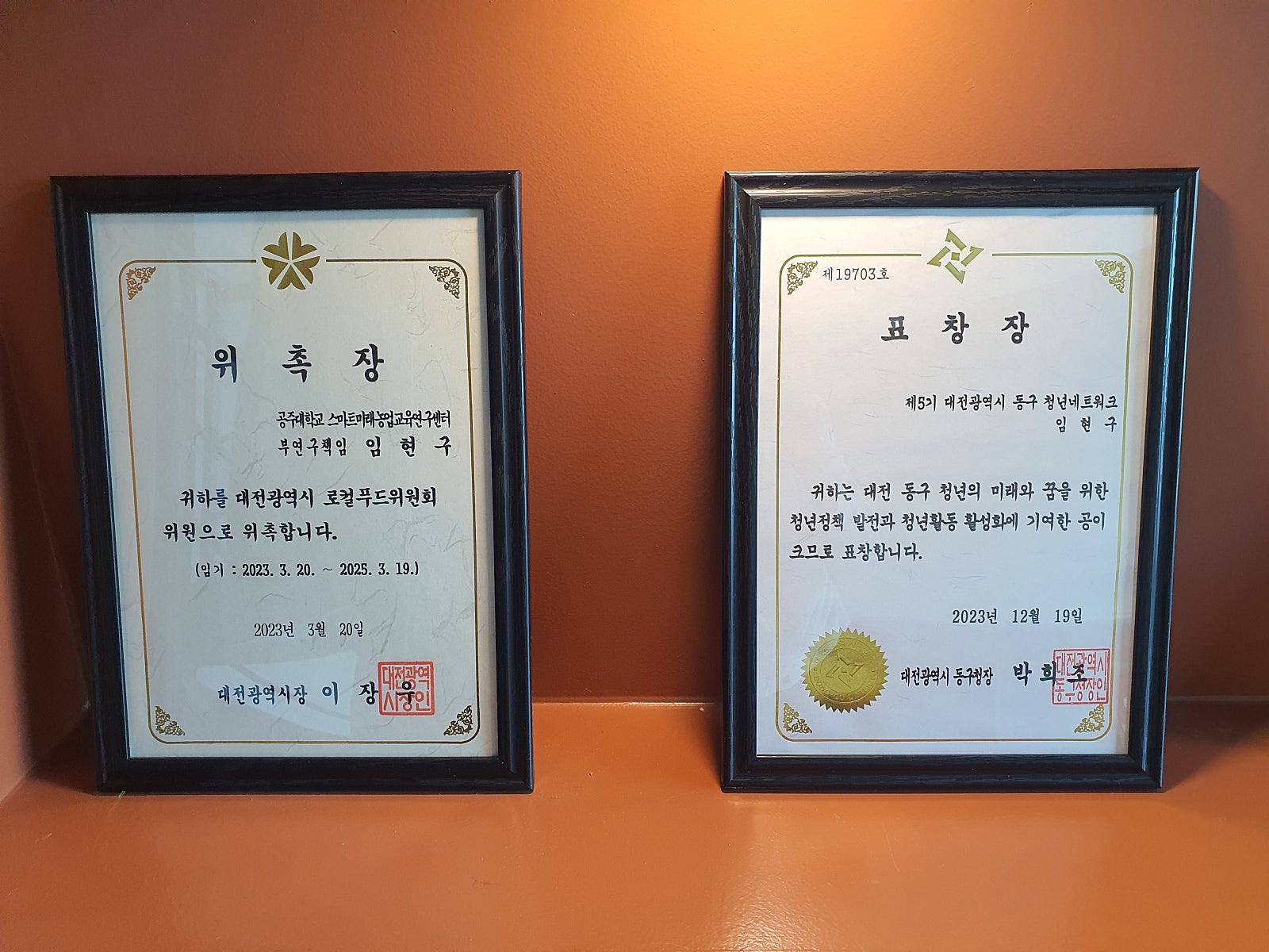 법인둥구나무 이미지